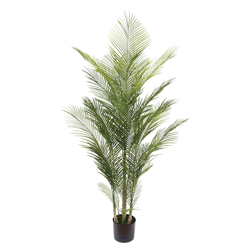 ΔΕΝΤΡΟ ΦΟΙΝΙΚΑΣ PALM ΠΡΑΣΙΝΟ ΣΕ ΓΛΑΣΤΡΑ - Υ175cm 2/KIB